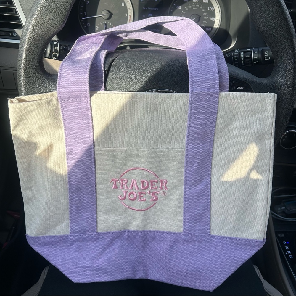 Trader Joe’s Mini Tote